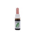 ACEITE-DE-CANNABIS-CANNABITE-10ML81001093-1