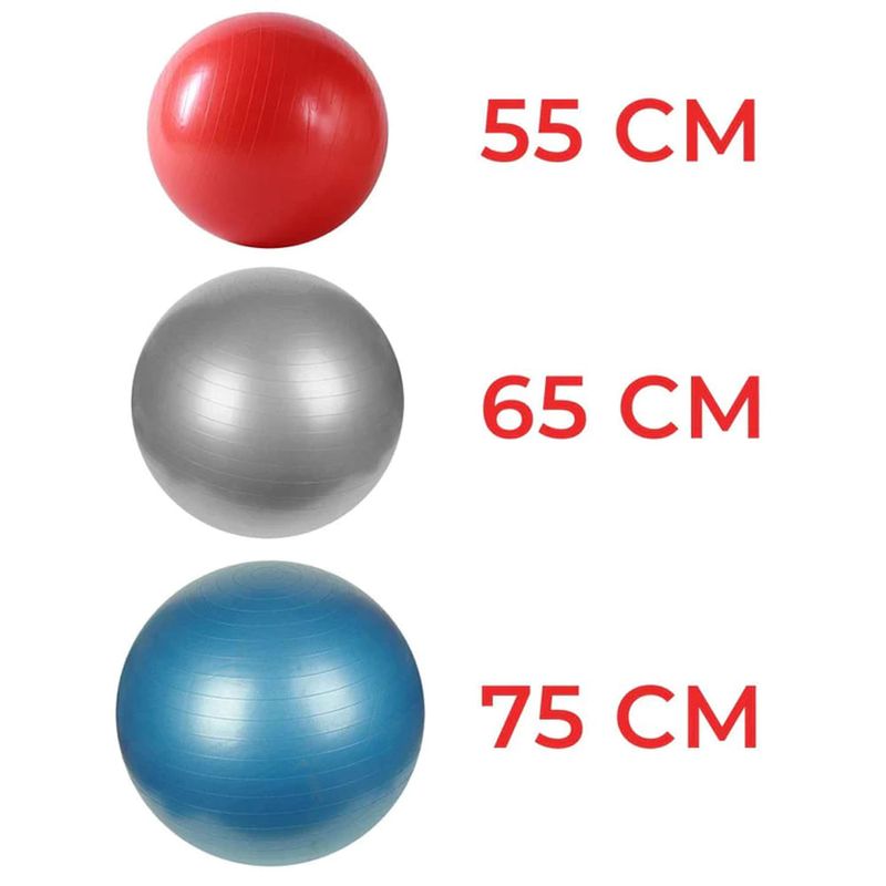 Balón Pilates Terapia Yoga Pelota Gym Ball 65 Cm Abdominales Color Rojo