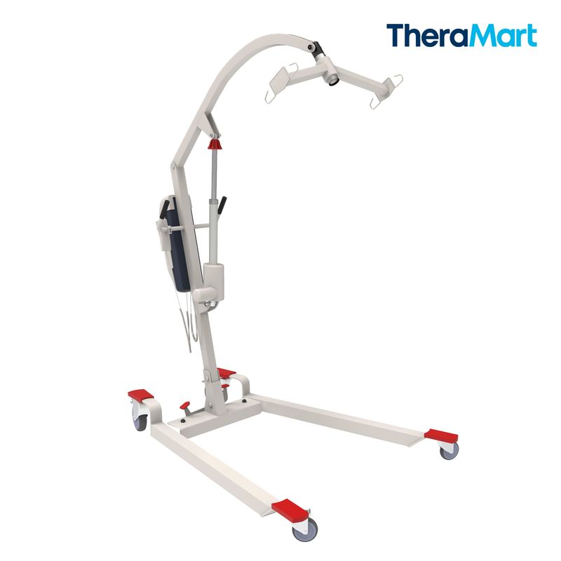 GRUA-ELECTRICA-THERATOMIC-TM991-20607208-2