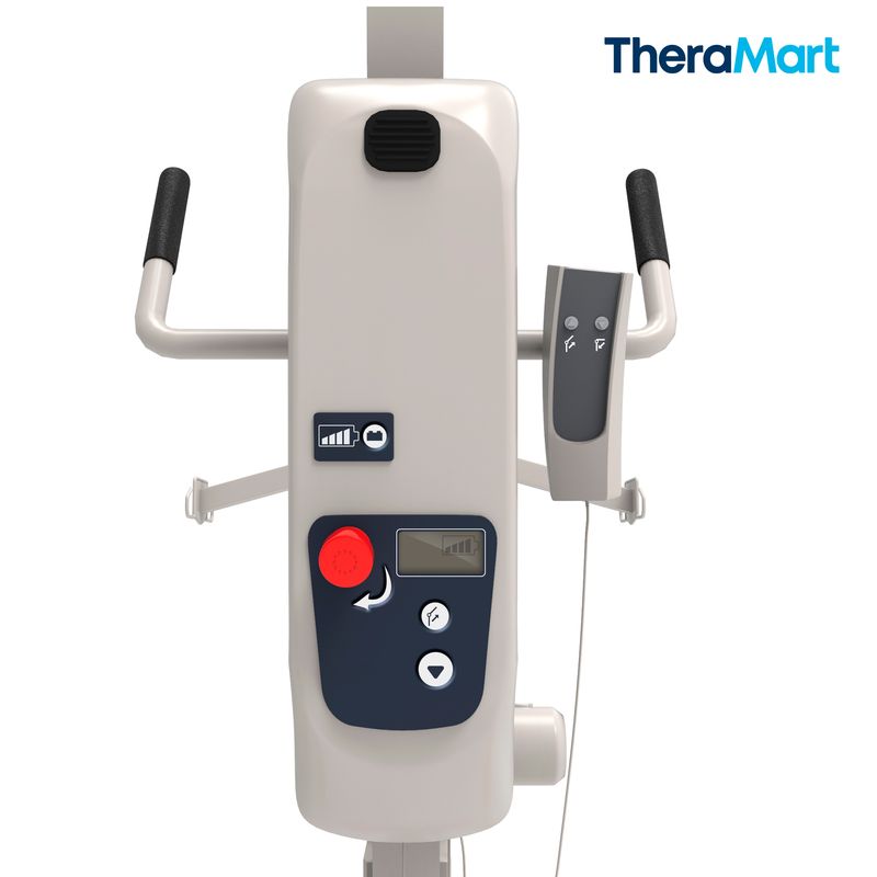 GRUA-ELECTRICA-THERATOMIC-TM991-20607208-3