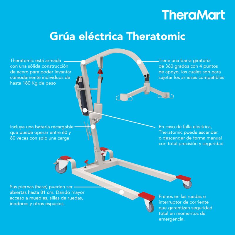 GRUA-ELECTRICA-THERATOMIC-TM991-20607208-4