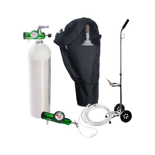 Kit Salter Labs Adulto Tanque Portatil O2 415 lts