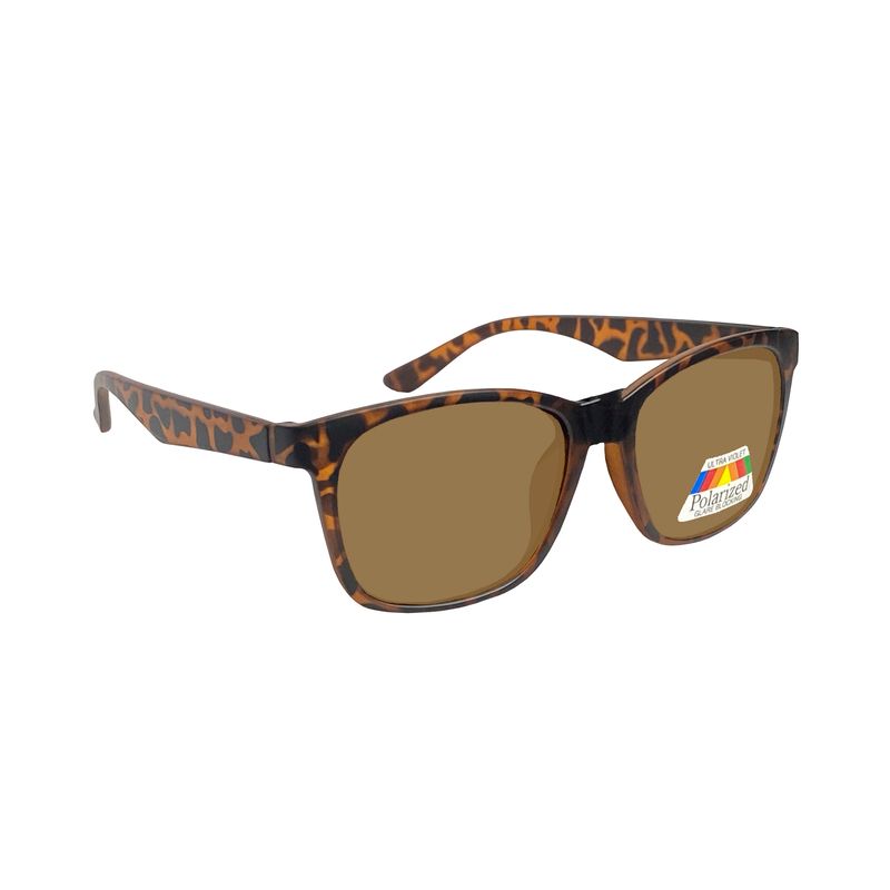 GAFA-SOL-POLARIZED-U1-COLG-21690316-2