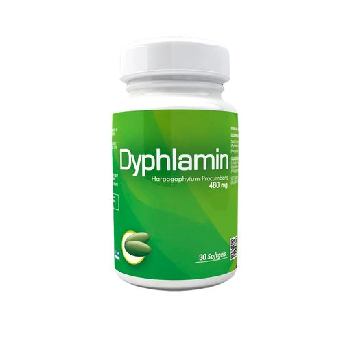 Dyphlamin Healthy America 480 mg Frasco x 30 Sofgels